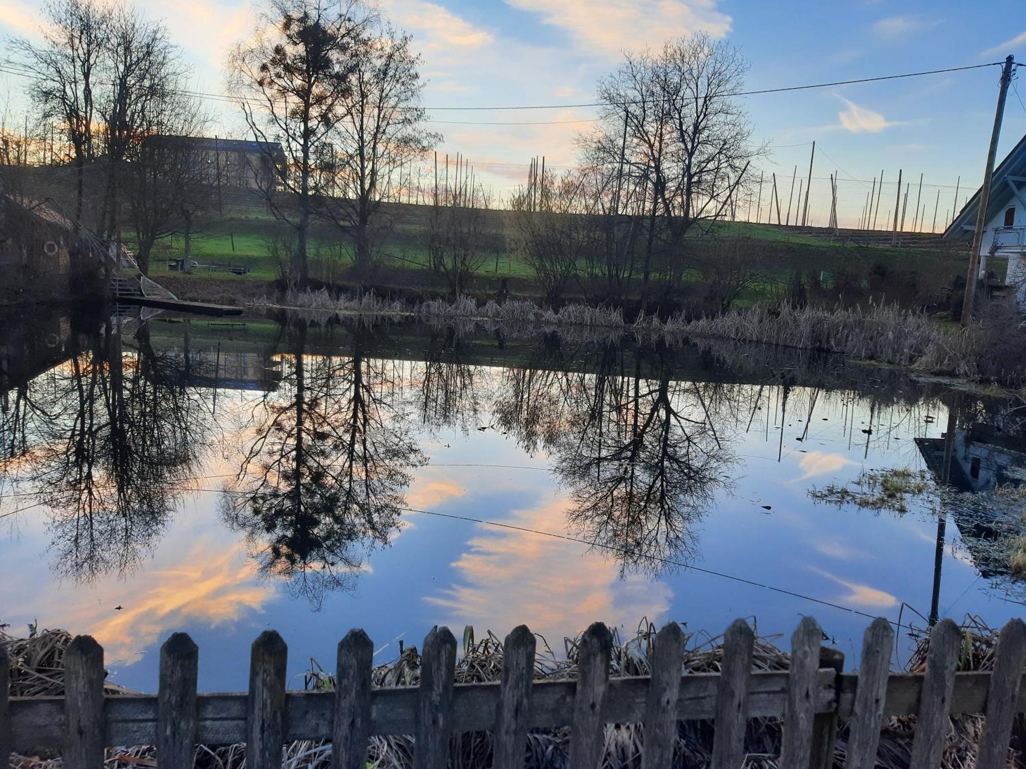 Am Dorfweiher Тетнанг Екстериор снимка